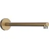 Image de Hansgrohe Pulsify S Bras de douche Bronze brossé