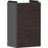 Image de Hansgrohe Xevolos E Armoire sous lavabo, 1 Porte, charnières à Gauche, 340x245x555mm, pour Lave-Mains, 54168730, Couleur: Corps Gris Ardoise Mat, façade chêne foncé