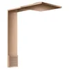 Image de hansgrohe AXOR ShowerComposition module de douche 250/250, 2jet, avec douchette dépaule, saillie 488mm, 12594, Couleur: Rouge poli or