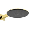 Image de hansgrohe Pomme de douche Raindance Alive S 2 jets, Pression min. 0,9, or poli