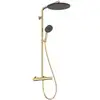 Image de hansgrohe S-Pipe Raindance Alive S Puro 1 jet, 12 l/min, optique or poli
