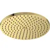 Image de hansgrohe Pomme de douche Raindance S 240 mm, 1 an, optique or poli