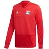 Image de Sweat OL Adulte Entrainement 18-19 (S)