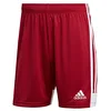 Image de adidas TASTIGO19 SHO Shorts, Enfant, Rouge de Puissance/Blanc, 7-8 Ans (Taille de Fabricant : 128)