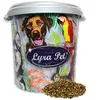 Image de Lyra Pet® 10 kg de graines de chanvre | Riche en protéines & en acides gras oméga-3 | Nourriture riche en fibres pour oiseaux sauvages, chevaux & rongeurs | Nourriture pour oiseaux riche en nutriments