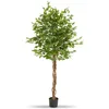 Image de tectake® Plante Artificielle Ficus Artificiel 180cm Fausse Plante Interieur Arbre Vert Arbre Artificiel Décoration Maison idéal pour Décoration Salon Chambre Cuisine Dressing Chambre Enfant Bureau