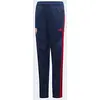 Image de adidas AFC TR PNTY Pantalon Unisexe pour Enfant XXXL Rouge (Maruni/Escarl)