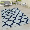 Image de Paco Home Tapis Intérieur & Extérieur Tissage À Plat Aspect 3D Design Marocain en Blanc Bleu, Dimension:80x150 cm