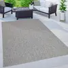 Image de Paco Home Tapis Intérieur Et Extérieur Balcon Terrasse Tapis Cuisine Monochrome Moucheté, Dimension:60x100 cm, Couleur:Gris