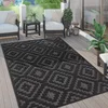 Image de Paco Home Tapis Exterieur Terrasse Salon Cuisine Motif Scandinave Motif Ethnique Uni, Dimension:60x100 cm, Couleur:Anthracite 2