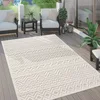 Image de Paco Home Tapis Exterieur Terrasse Salon Cuisine Motif Scandinave Motif Ethnique Uni, Dimension:80x150 cm, Couleur:Crème