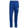Image de adidas Mens Pants (1/1) Tiro21 TR PNT, Royblu, GJ9870, S EU