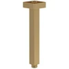 Image de V&B Brausearm Universal Showers carré, montage plafond, or brossé