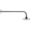 Image de Duravit Douche de tête 1jet 100 d= 100mm, filetage G 1/2, chrome