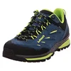 Image de Lowa Homme Delago GTX Low Chaussures, Uni, UK 10,5