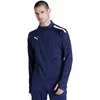 Image de PUMA TeamLIGA 14 Zip Top
