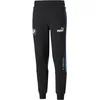 Image de PUMA Homme Pants Pantalon de survêtement Ordinaire BMW M Motorsport SDS Homme XS Cotton Black