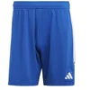 Image de Adidas Homme Shorts (1/4) Short Tiro 23 League, Team Royal Blue/White, IB8084, M