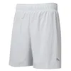 Image de PUMA Run Favorite 2In1 Short de Running Hommes Gris Clair - Platinum Gray XXL
