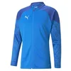Image de PUMA Homme Teamcup D'entraînement Veste tricot e, Limonade bleue électrique, L EU