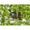 Image de Gardena Kit d'irrigation goutte à goutte pour jardinière/lit 35 plantes