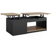 Image de Vicco Table Basse Avela, Noir, 55x110cm, Pliable avec Deux étagères pour Une Utilisation Flexible