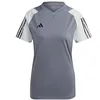 Image de adidas Womens Jersey (Short Sleeve) Tiro23 C JSY W, Tmonix, IC4591, Size XS