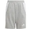 Image de adidas Mixte Enfant Tiro24 Sweat Kids Shorts, Medium Grey Heather/White, 15-16 Years