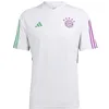 Image de adidas FCB TR JSY T-Shirt, Blanc, L Hommes