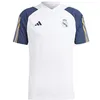 Image de adidas Real TR JSY T-Shirt, Blanc, L Hommes