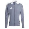 Image de adidas Tiro24 Competition Training Jacket Veste de survêtement Homme