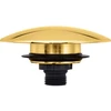 Image de Duravit Ensemble d'accessoires avec valve Push-open, or poli