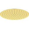 Image de Duravit Pomme de tête 1jet 300 d 300 mm, raccord fileté G 1/2, or poli