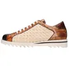 Image de Hadrian 4 Vegas Turtle Mid