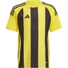 Image de adidas Mixte Enfant Striped 24 Jersey Kids Shirt, Team Yellow/Black, 13-14 Years