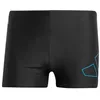 Image de adidas Homme Big Bars Swim Boxers, Black/Bright Royal, S