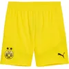 Image de PUMA Short BVB réplique