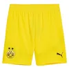 Image de PUMA Short BVB réplique
