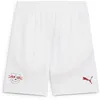 Image de Puma RBL Replica Short Taille M