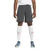 Image de Puma Short pour homme, Gris ombre/menthe fraîche, S