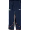 Image de PUMA Olympique Marseille ftblStatement Pantalon de survêtement Bleu Orange L Unisexe