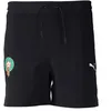 Image de PUMA Short FRMF WOV Noir et Vert L