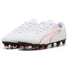 Image de PUMA Vitoria FG/AG Football Boots EU 44 1/2