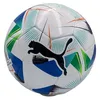 Image de Puma Ballon Officiel Sommet Final Conmebol Libertadores
