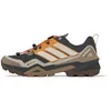 Image de adidas Terrex Skychaser Gore-Tex Chaussures de randonnée pour homme, Blanc effet carbone, 42 EU