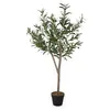 Image de Plante d'olivier artificielle dans un pot noir avec 20 olives   120 x 60 cm   Arbre artificiel dans un pot de fleurs avec 580 feuilles   Arbre décoratif en pot   Arbre décoratif d'intérieur comme de