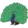 Image de Farm World Paon, Figurine