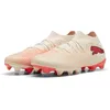 Image de Puma Future 9 Match FG/AG