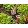 Image de Gardena Croisillon 4,6 mm (3/16") Contenu : 10 pièces MDS