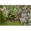 Image de Gardena Rejet goutte à goutte compensateur de pression 2 l/h Contenu : 10 pièces
